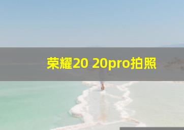 荣耀20 20pro拍照